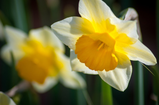 786128 (a): :2048x1360